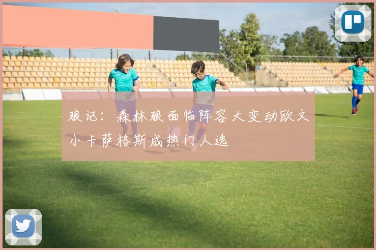 狼记：森林狼面临阵容大变动欧文小卡萨格斯成热门人选